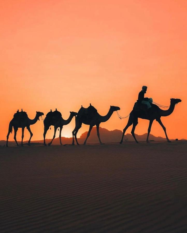 Rum Joharh Luxury Camp Wadi Rum Ngoại thất bức ảnh